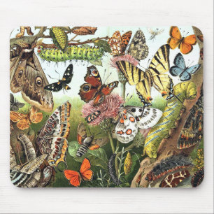 Butterfly Moth Caterpillar Wildlife Bugs Mousepad