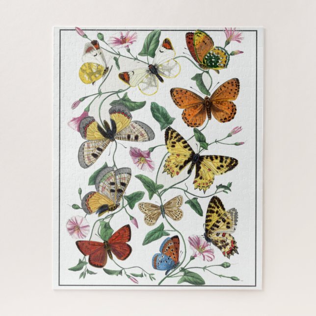 Butterfly & Moth  Le Jardin Des Plantes Gervais Jigsaw Puzzle (Vertical)