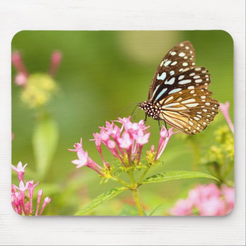 butterfly moth mouse pad