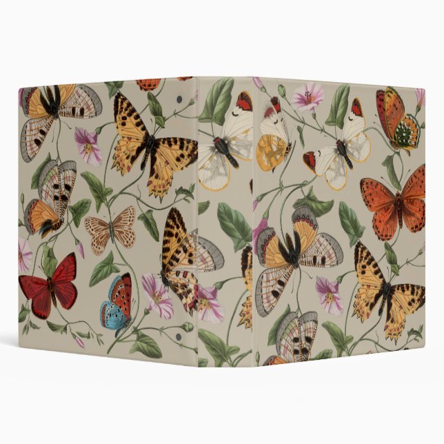 Butterfly Moth Nature Collection Drawing 3 Ring Binder (Background)