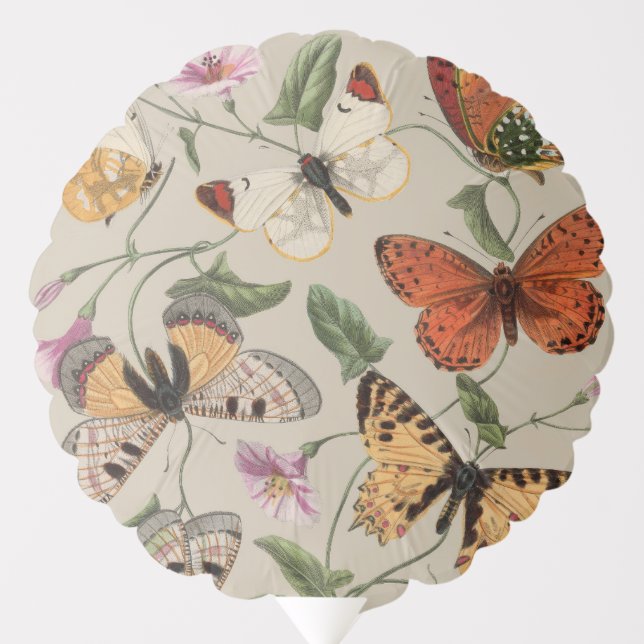 Butterfly Moth Nature Collection Drawing Balloon (Front)