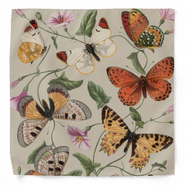 Butterfly Moth Nature Collection Drawing Bandana (Front)