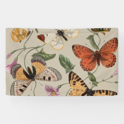 Butterfly Moth Nature Collection Drawing Banner