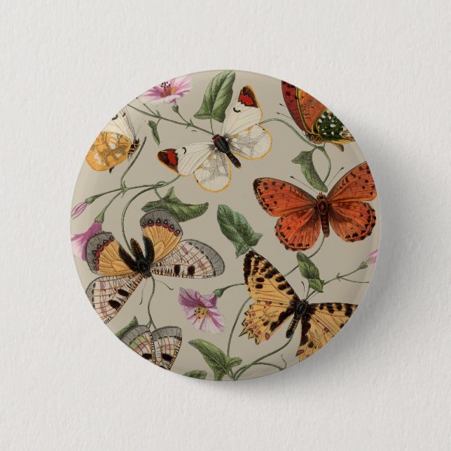 Butterfly Moth Nature Collection Drawing Button (Front)