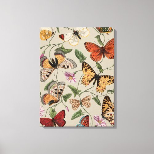 Butterfly Moth Nature Collection Drawing Canvas Print