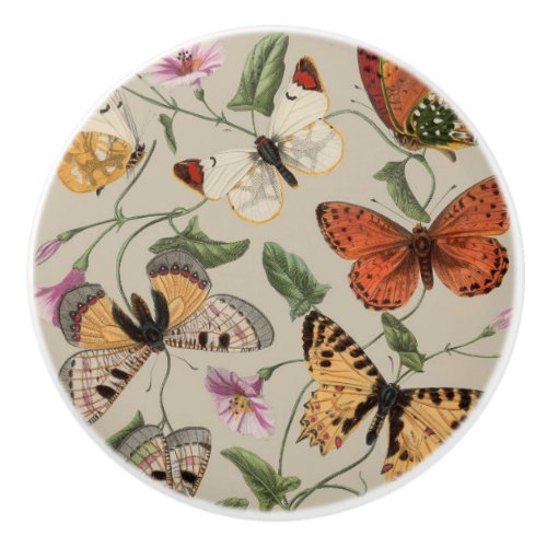 Butterfly Moth Nature Collection Drawing Ceramic Knob