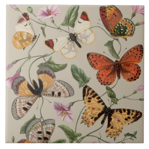 Butterfly Moth Nature Collection Drawing Ceramic Tile