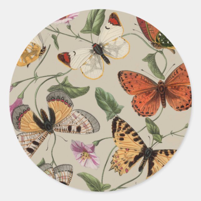 Butterfly Moth Nature Collection Drawing Classic Round Sticker (Front)