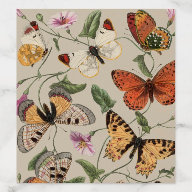 Butterfly Moth Nature Collection Drawing Envelope Liner (Design)
