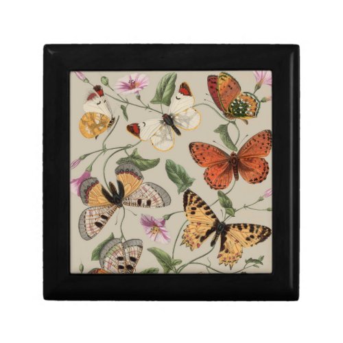 Butterfly Moth Nature Collection Drawing Gift Box