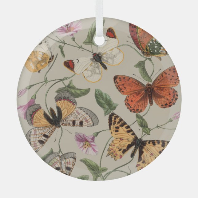 Butterfly Moth Nature Collection Drawing Glass Ornament (Front)
