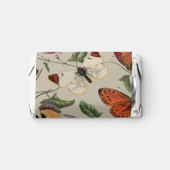 Butterfly Moth Nature Collection Drawing Hershey's Miniatures by antiqueart at Zazzle