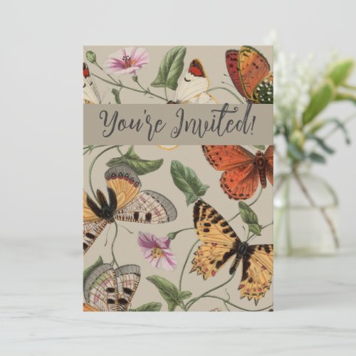 Butterfly Moth Nature Collection Drawing Invitation