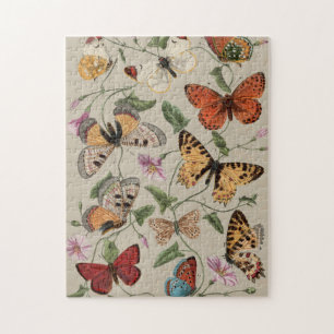 Butterfly Moth Nature Collection Drawing Jigsaw Puzzle
