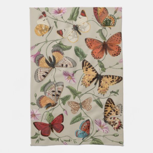 Butterfly Moth Nature Collection Drawing Kitchen Towel