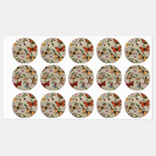 Butterfly Moth Nature Collection Drawing Labels