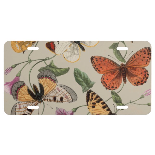 Butterfly Moth Nature Collection Drawing License Plate (Front)