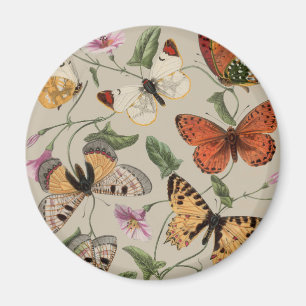 Butterfly Moth Nature Collection Drawing Magnet