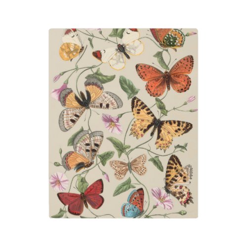 Butterfly Moth Nature Collection Drawing Metal Print