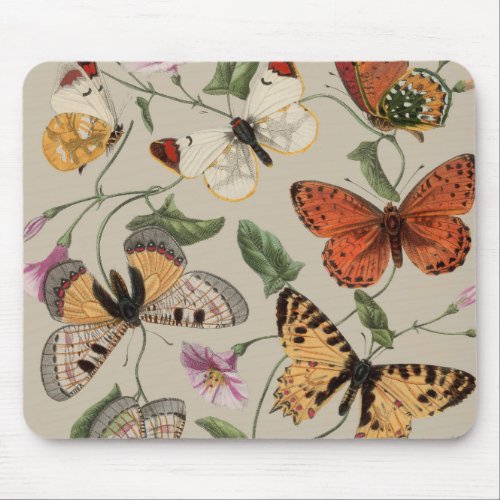 Butterfly Moth Nature Collection Drawing Mouse Pad