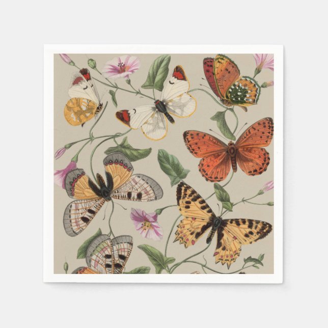 Butterfly Moth Nature Collection Drawing Napkins (Front)