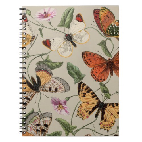 Butterfly Moth Nature Collection Drawing Notebook