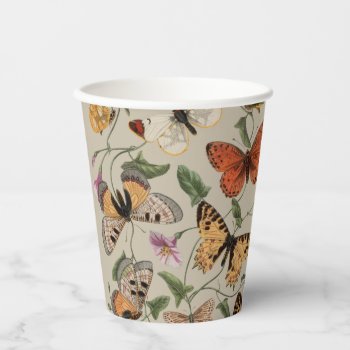Butterfly Moth Nature Collection Drawing Paper Cups by antiqueart at Zazzle