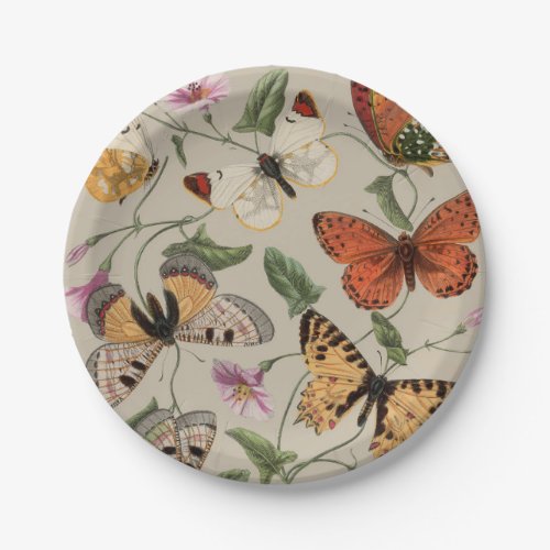 Butterfly Moth Nature Collection Drawing Paper Plates
