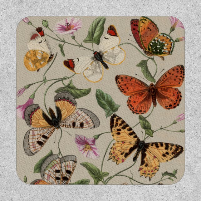 Butterfly Moth Nature Collection Drawing Patch (Front)