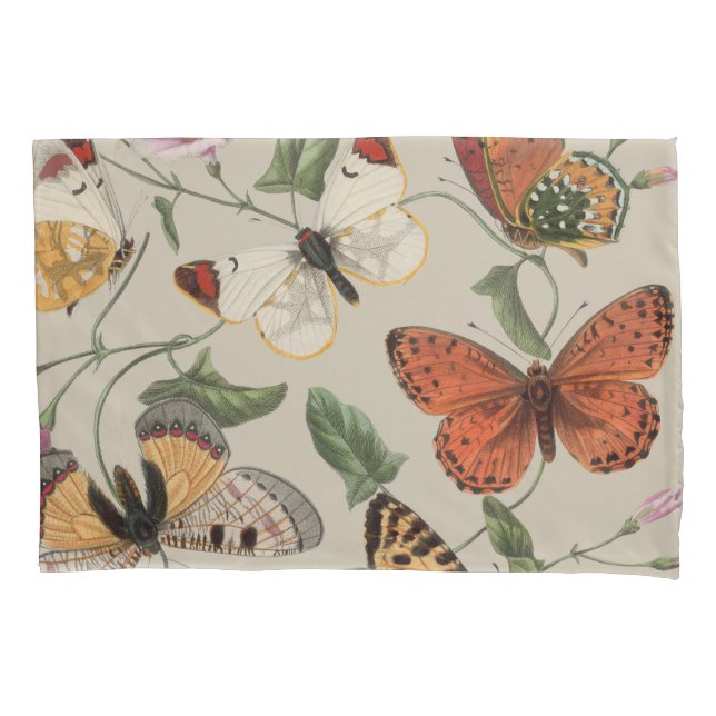 Butterfly Moth Nature Collection Drawing Pillow Case (Front)