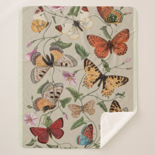 Butterfly Moth Nature Collection Drawing Sherpa Blanket