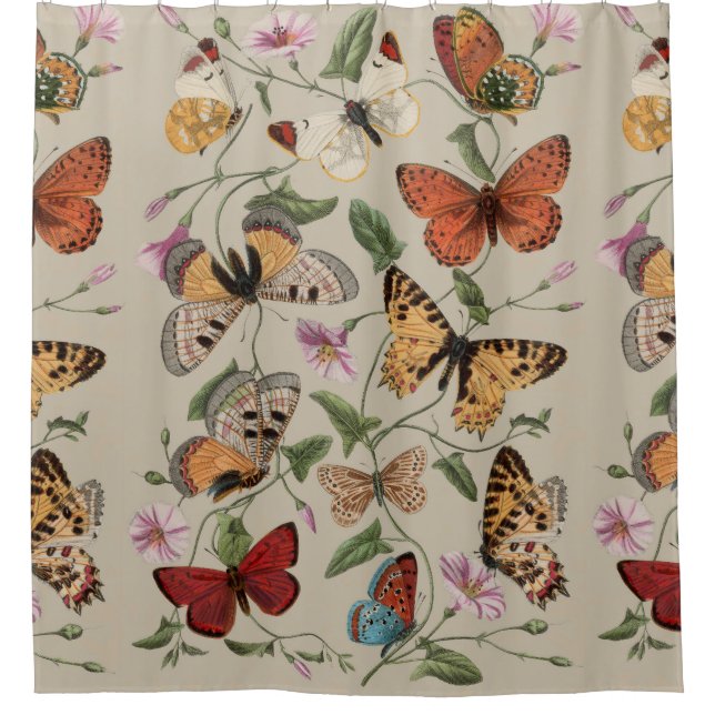 Butterfly Moth Nature Collection Drawing Shower Curtain (Front)