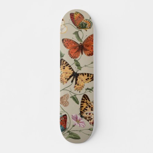 Butterfly Moth Nature Collection Drawing Skateboard
