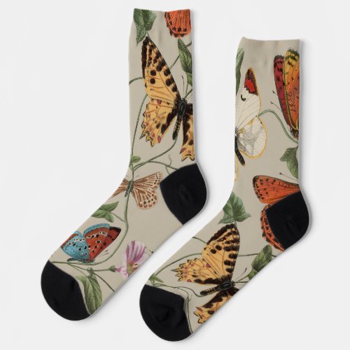 Butterfly Moth Nature Collection Drawing Socks