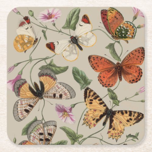 Butterfly Moth Nature Collection Drawing Square Paper Coaster
