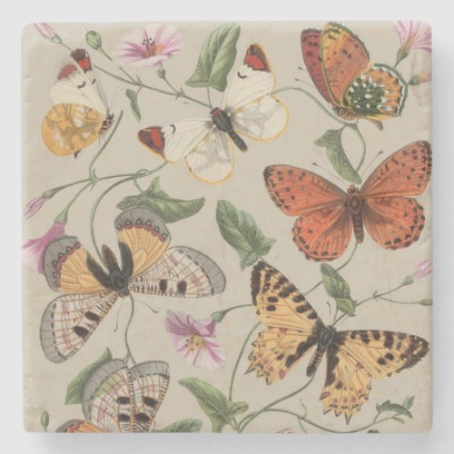 Butterfly Moth Nature Collection Drawing Stone Coaster