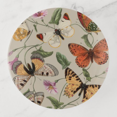 Butterfly Moth Nature Collection Drawing Trinket Tray