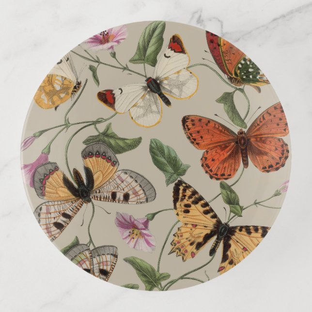Butterfly Moth Nature Collection Drawing Trinket Tray (Front)