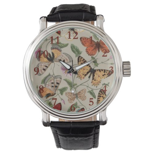 Butterfly Moth Nature Collection Drawing Watch