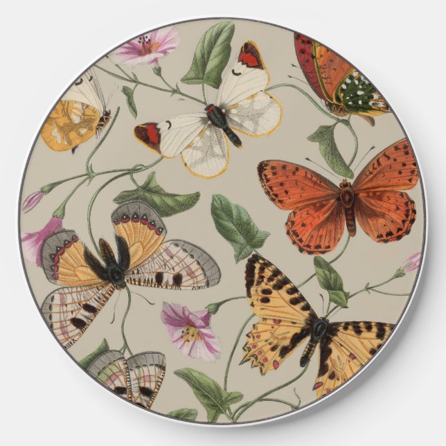 Butterfly Moth Nature Collection Drawing Wireless Charger (Front)