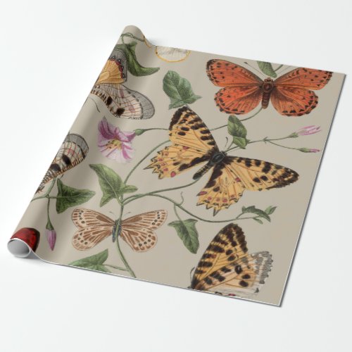 Butterfly Moth Nature Collection Drawing Wrapping Paper