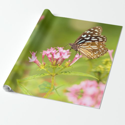 butterfly moth wrapping paper