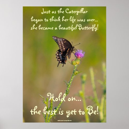 Butterfly Motivational Inspirational Photo Poster