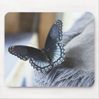Butterfly Mouse Pad