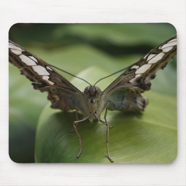 Butterfly Mouse Pad (Front)