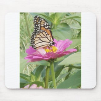 Butterfly Mouse Pad