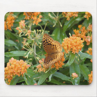butterfly mouse pad
