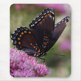 Butterfly mousepad