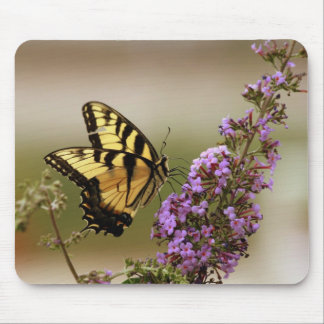 Butterfly Mousepad