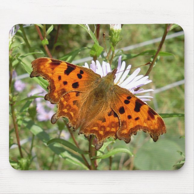 Butterfly Mousepad: Comma Mouse Pad (Front)